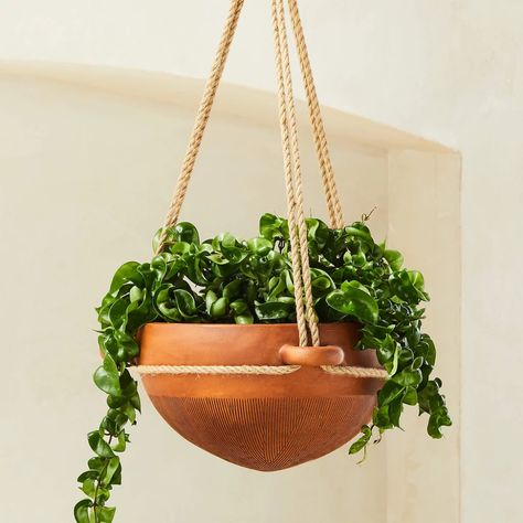 Outside Planters, Modern Planters Outdoor, Large Outdoor Planters, Terracotta Bowl, Hanging Planters Indoor, Macrame Plant Holder, Indoor Outdoor Planter, Basket Planters, Patio Plants