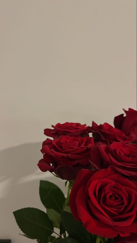 Lockscreen Aesthetic Iphone Wallpapers Flowers, Red Flower Wallpaper Iphone, Bright Wallpaper Iphone Aesthetic, Red Lockscreen Aesthetic, Red Wallpaper Lockscreen, Classy Wallpaper Iphone, Red Lockscreen, Wallpaper Mawar, Red Roses Background