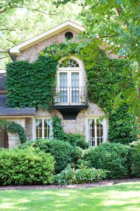 House With Ivy Exterior, Ivy House Exterior, Vines Growing On House, Ivy Growing On House, Vine Covered House, Climbing Ivy On House, Ivy Covered Cottage, Boston Ivy On House, Houses With Vines