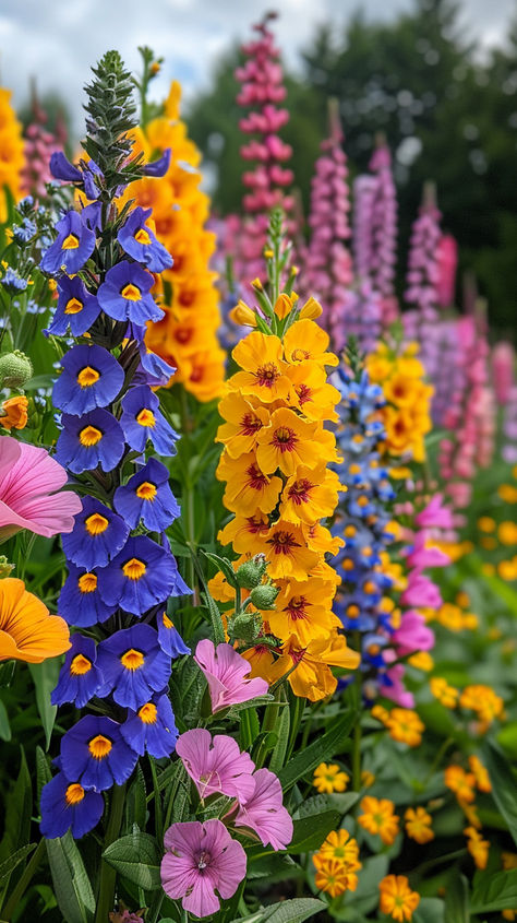 Must-Have Tall Perennial Flowers for Your Garden: 15 Varieties Flower Planting Ideas Outdoor, Front Yard Flower Landscaping, Tall Planter Flower Ideas, Boho Flower Garden, Come Flower Garden, Flower Gardens Perennial, Flowers In Garden Ideas, Perrenial Flowers Front Of House, Colorful Perennial Garden