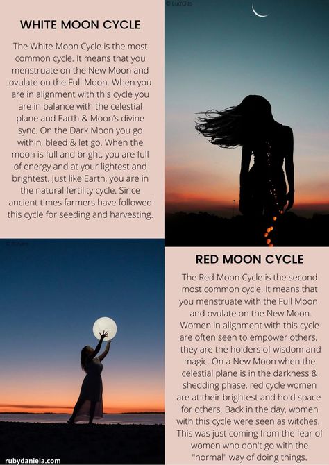 Moon Cycle Menstruation, Moon And Menstrual Cycle, New Moon Menstrual Cycle, White Moon Cycle, Red Moon Cycle, Fertility Cycle, Period Blood, Period Cycle, Negative Beliefs