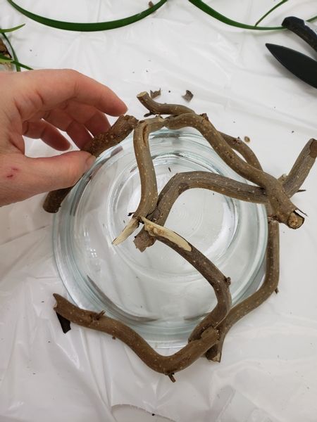 Place the twig snippets all around the bowl and secure them with hot glue Twig Crafts Diy, Twig Art Diy Tree Branches, Crafts With Sticks And Twigs, Bushel Basket Ideas Decor, Diy Twig Wreath, Nature Crafts For Adults Diy, Tree Branch Decor Diy, Stick Decorations, Twig Centerpieces