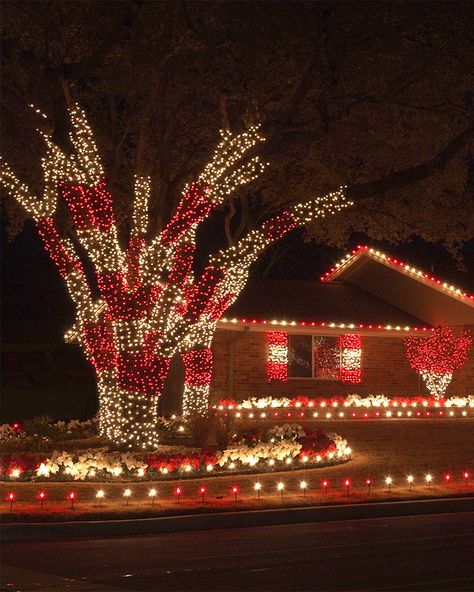 Red Christmas Lights, Christmas Lights In Bedroom, Holiday Lights Outdoor, Christmas Lights Outside, White Christmas Lights, Mini String Lights, Diy Christmas Lights, Christmas House Lights, Red And White Christmas