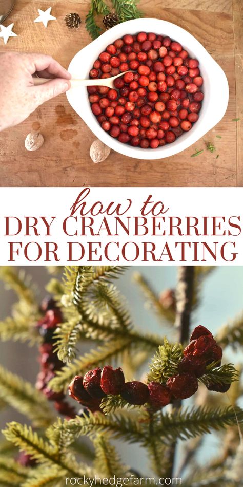 Decorating With Cranberries Christmas, Dried Fruit For Potpourri, Dried Cranberries For Potpourri, Orange Cranberry Christmas Decor, How To Preserve Cranberries, How To Dry Fruit For Decorations, How To Dry Fruit For Potpourri, Dehydrated Fruit Christmas Decorations, Diy Red Berries Christmas Decor