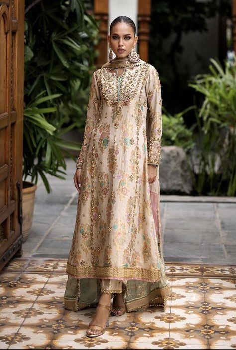 Eid Suits, New Party Wear Dress, Suit Styles, Pakistani Formal Dresses, Fancy Suit, Punjabi Outfits, Pakistani Fashion Party Wear, Beautiful Pakistani Dresses, Boutique Dress Designs