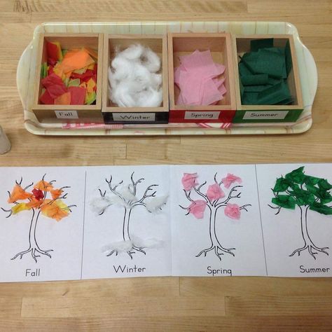 Seasons Kindergarten, Seasons Preschool, Montessori Lessons, Montessori Art, Tree Study, Seasons Activities, Montessori Toddler Activities, Montessori Preschool, Montessori Classroom