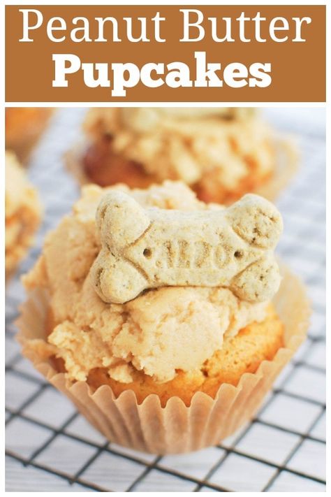 Peanut Butter Pupcakes - your pup deserves a treat! Dog-friendly peanut butter carrot cupcakes with a peanut butter frosting and a bone on top! Cupcakes For Dogs Recipe, Dog Friendly Cake, Doggy Birthday, Fake Ginger, Puppy Cupcakes, Dog Cake Recipes, Dog's Birthday, Doggy Treats, Dog Cupcakes