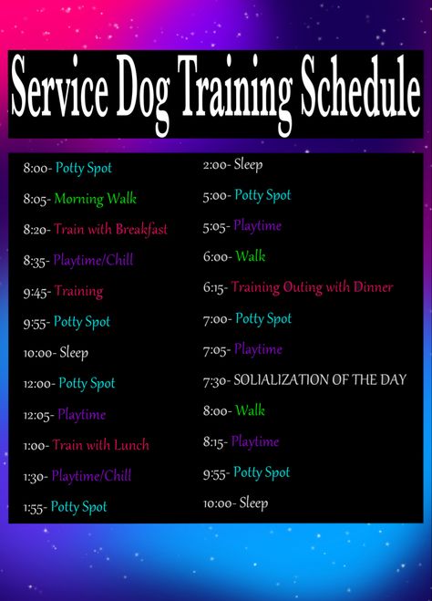 Service Dog Training Schedule, Service Dog Training Commands, Dog Schedule Daily, Psychiatric Service Dog Training, Service Dog Training Checklist, Service Dog Gear For School, Dog Training Schedule, Valley Bulldog, Dog Training Hand Signals