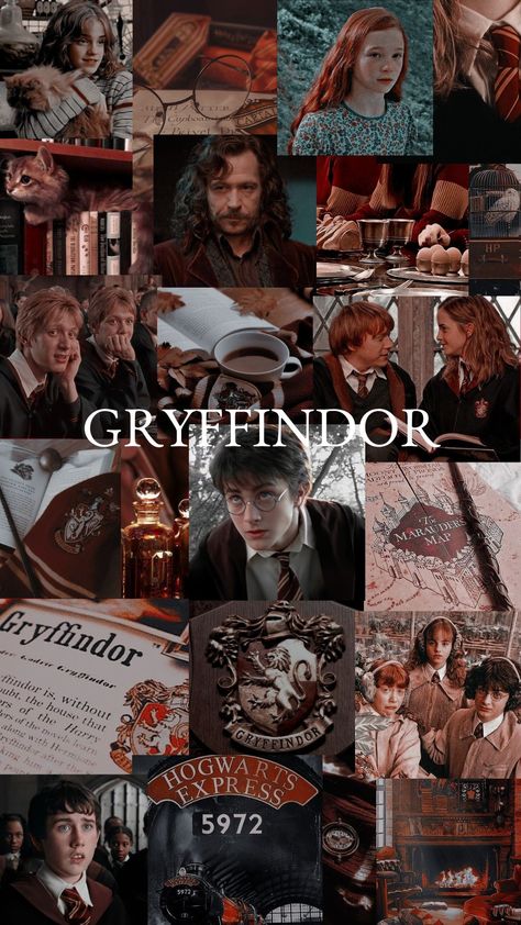 Gryffindor Wallpaper Iphone, Harry Potter Houses Aesthetic, Harry Potter Gryffindor Wallpaper, Gryffindor Wallpaper Aesthetic, Harry Potter Olivander, Harry Potter Gryffindor Aesthetic, Harry Potter And The Goblet Of Fire, Gryffindor Characters, Hogwarts Collage