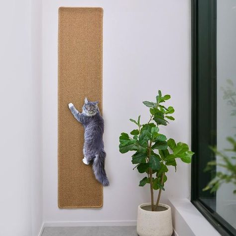 PRICES MAY VARY. Large Size: Our Cat Wall Scratcher measures 71 inches in height and 16 inches in width, providing ample space for your cat to climb and scratch indoors. Made of premium scratch-resistant fibres, perfect for cat scratching and climbing, ensuring your furniture remains intact. Encourage Natural Behavior: Beyond satisfying their scratching instinct, cats love to climb. Mimicking outdoor tree trunks, our wall scratcher allows your cat to fulfill their climbing needs indoors, promoti Cat Room Ideas Small Spaces, Cat Wall Scratcher, Wall Cat Scratcher, Cat Room Decor, Cat Climbing Wall, Scratcher Cat, Spoiled Cats, Sharp Claws, Cat Wall Furniture