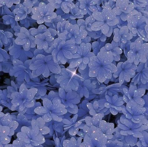 Perrywinkle Aesthetic Wallpaper, Blue Lavender Aesthetic, Perrywinkle Aesthetic, Periwinkle Aesthetic Wallpaper, Perrywinkle Color, Light Blue Aesthetic Soft, Blue Aesthetic Flowers, Indicolite Aesthetic, Blue Flowers Aesthetic