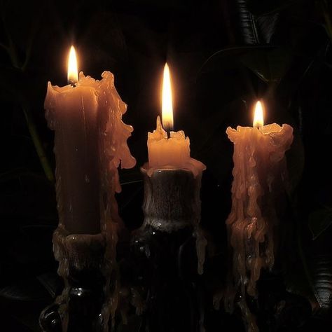 Dark Acadamia, Yennefer Of Vengerberg, Candle Aesthetic, Witch Aesthetic, Dark Academia Aesthetic, Academia Aesthetic, Fantasy Aesthetic, Light Academia, Ghost Rider