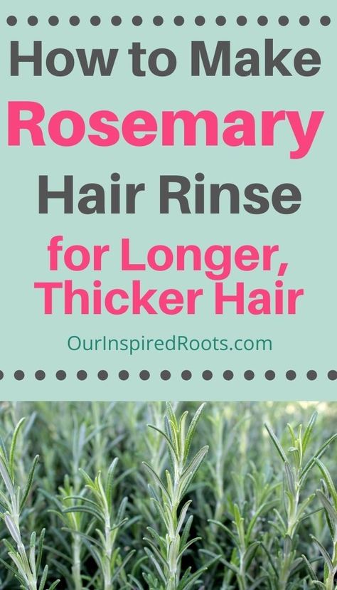 Want thick, healthy hair fast? This homemade rosemary water hair rinse supports healthy hair naturally. It's easy to make from fresh rosemary in your garden. The benefits are amazing! #rosemary #naturalbeauty Rosemary For Hair Benefits, How To Make Rosemary Water For Hair Growth, Rosemary Water For Hair Growth Diy, Acv Tea, Rosemary Water Hair, Rosemary Hair Rinse, Healthy Hair Naturally, Rosemary Water For Hair Growth, Thick Healthy Hair