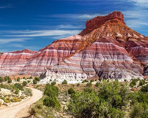 Paria Canyon, Utah Map, Utah Arches, Kanab Utah, Southwest Travel, Zane Grey, Longhorn Cattle, Purple Sage, River Canyon