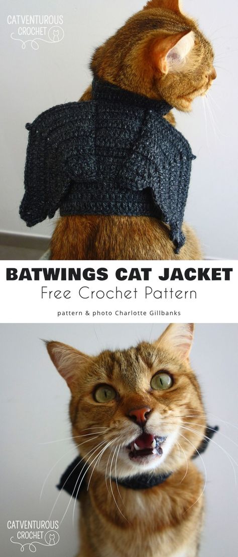 Cat Accessories Crochet Pattern Free, Crochet Cat Clothes Pattern, Things To Crochet For Cats, Crochet Patterns For Cats Free, Cat Sweater Crochet Pattern Free, Crochet Cat Accessories Free Pattern, Free Crochet Patterns For Cat Hats, Knitting For Cats, Halloween Crochet Ideas Easy