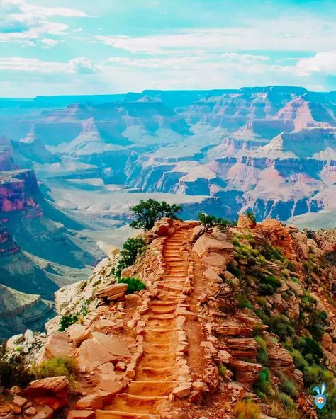 Sedona To Grand Canyon, Phoenix To Sedona, Grand Canyon Road Trip, Los Angeles Road Trip, Grand Canyon Vacation, California Road Trip Itinerary, Los Angeles Vacation, Trip To Grand Canyon, California Road Trip