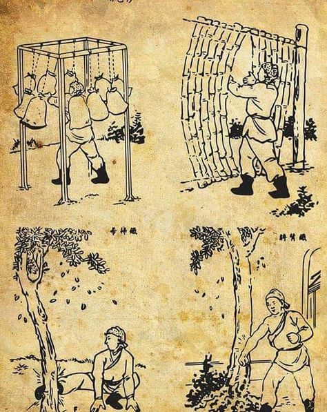 Old school Kung Fu training equipment Karate Training Exercises, Kung Fu Training, Martial Arts Training Equipment, Karate School, Martial Arts Forms, Martial Arts Sparring, Martial Arts Equipment, Karate Training, Traditional Martial Arts