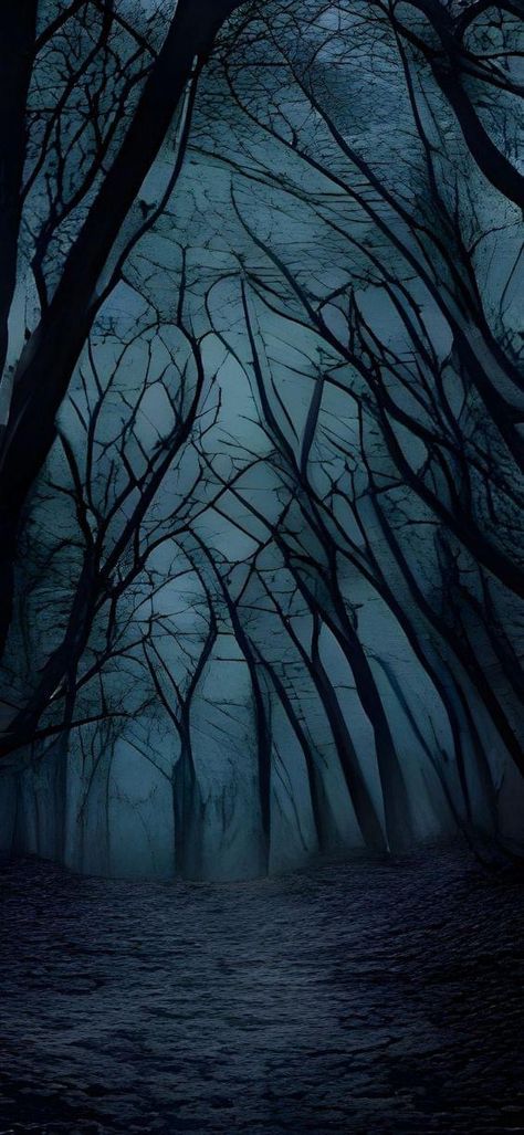 8k Images, Dark Forest Aesthetic, Dark Landscape, Slowed Reverb, Scenic Wallpaper, Gothic Wallpaper, Cocoppa Wallpaper, Foggy Forest, Dark Nature Aesthetic