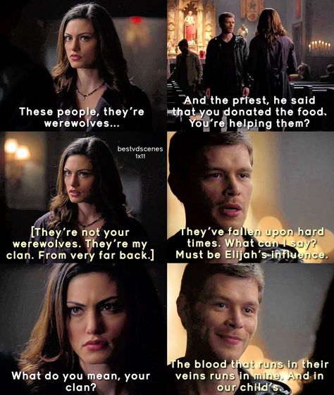 The Vampire Diaries Fan Page (@bestvdscenes) on Instagram The Originals Tv Show, Legacy Quotes, Hayley And Klaus, Hayley Marshall, The Originals Tv, Original Memes, Original Vampire, Klaus Mikaelson, The Vampire Diaries