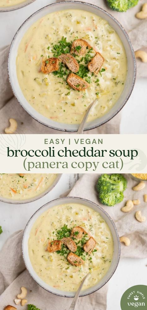 Soup Entree, Broccoli Cheddar Soup Panera, Vegan Broccoli Cheddar Soup, Soup Panera, Panera Copycat, Vegan Broccoli, Plant Based Soups, Vegan Soup Recipes, Desserts Vegan