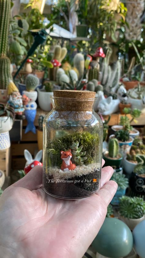 I found a little fox for my mini terrarium 🦊 Diorama In A Jar, Small Jar Terrariums, Terrarium Gift Ideas, Mini Terrarium Ideas, Jar Diorama, Clay Terrarium, Nature Jar, Journey Theme, Tiny Crafts