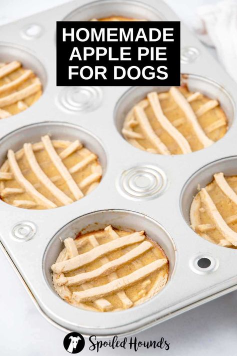 Pizza Dog Treats, Dog Poptart Recipe, Dessert For Dogs, Dog Apple Pie, Apple Pie Dog Treats, Apple Pie For Dogs, Dog Treats That Look Like Human Food, Pet Treat Recipes, Thanksgiving Recipes For Dogs