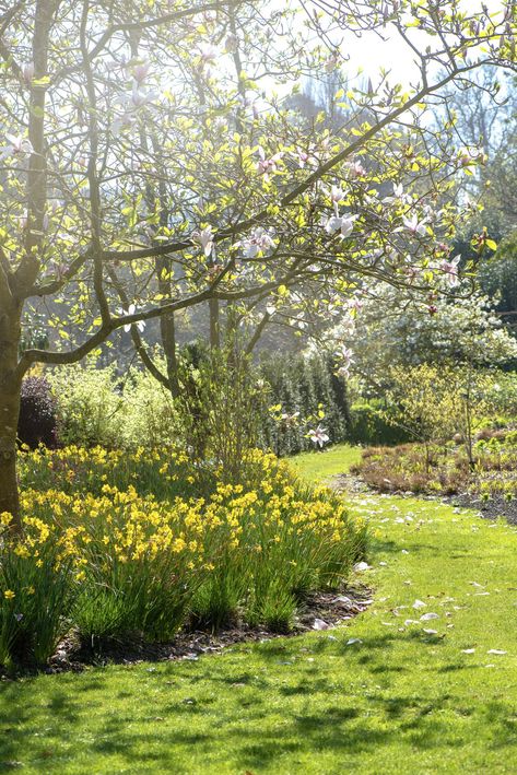 Summer Garden Landscape, English Spring Aesthetic, English Countryside Spring, English Countryside Wallpaper, Cozy Spring Aesthetic, Spring Time Pictures, Spring References, Spring Season Photography, Spring Aesthetic Nature