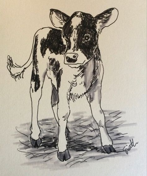 Pen sketch of a Holstein calf for my Great-Niece’s 1st Birthday Card. I really enjoy drawing on card blanks for family birthday cards. Pen Drawing Of Animals, Cow With Calf Drawing, Vintage Cow Drawing, Jersey Cow Drawing, Farm Animals Sketch, Cow Calf Drawing, Cow Drawing Sketch, Cow Drawing Reference, Long Horn Drawing