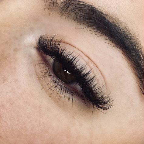 D Curl Lash Extensions, Lash Extensions Hybrid, Holiday Lashes, Curl Lash Extensions, Hybrid Lashes, Natural Fake Eyelashes, Short Lashes, Cat Eye Lash, Lash Extensions Styles