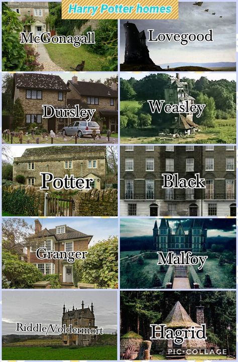 Harry Potter Phoenix, Harry Potter Minecraft, The Golden Trio, Family Houses, Harry Potter Friends, Harry Potter Illustrations, Harry Potter Spells, Harry Potter Scene, Harry Potter Images