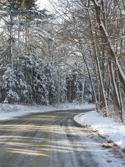 First snowfall in Maine 12/10/2017 Maine Snow, Maine Aesthetic, Maine Landscape, Maine Winter, First Snowfall, Landscape Winter, Bar Harbor Maine, Snow Falling, Summer Getaway