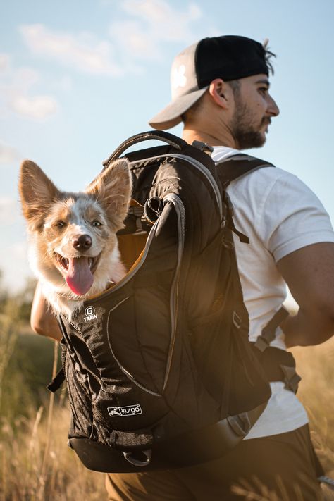 Friendly Branding, Dog Backpack Carrier, Human Back, Inktober 2024, Hiking Dogs, Dog Backpack, Pet Bag, Commute To Work, That Feeling