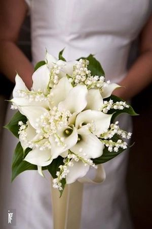 Lily Of The Valley Wedding Bouquet, Lily Bridal Bouquet, Bouquets Ideas, Simple Wedding Bouquets, Calla Lily Bridal, Calla Lily Wedding, Spring Wedding Bouquets, Calla Lily Bouquet, Wedding Bouquets Bride