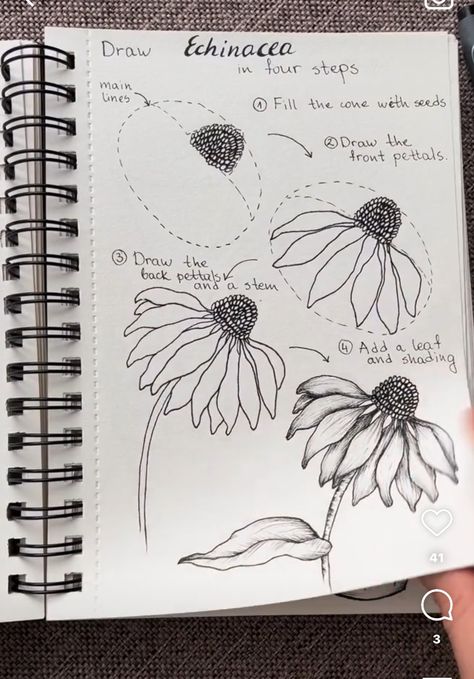 Simbelmynë Flower, Modern Floral Drawing, Drawing Botanicals Tutorial, Flower Garden Doodle, Botanical Pencil Drawings, Flower Line Drawing Botanical Illustration, Big Flower Drawing, How To Draw Flowers Step By Step, Modele Zentangle