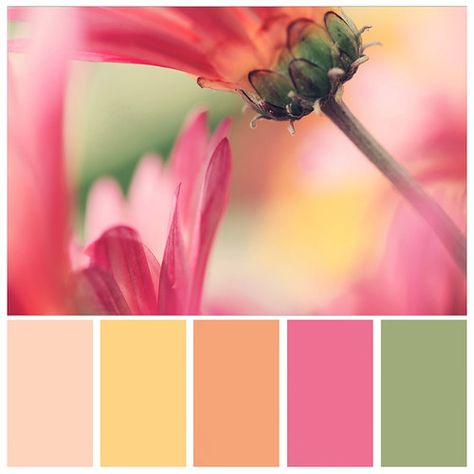 Green Pink Yellow Color Palette, Wedding Palette Spring, Sherbet Color Palette, Flower Color Palette, Pink Person, Flower Palette, Palette Spring, Spring Color Palette, Color Schemes Colour Palettes