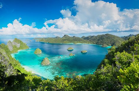 9 Things I Wish I Knew Before Going to Papua New Guinea Raja Ampat Islands, Perang Dunia Ii, Port Moresby, Hindu Calendar, West Papua, Oceania Travel, Calendar 2022, Beautiful Travel Destinations, Dream Trip