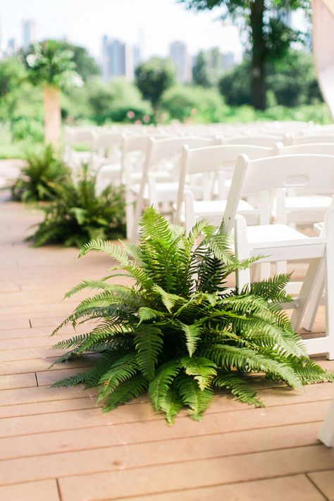 Ook mooi Fern Wedding Decor, Fern Centerpiece, Cafe Brauer, Fern Wedding, Wedding Plants, Wedding Isles, Aisle Decor, Wedding Arrangements, Wedding Aisle