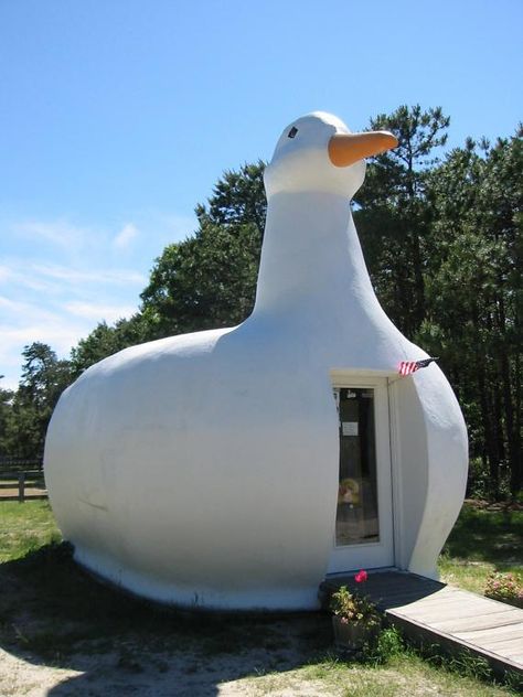 Big Duck  A former poultry store that looks like a giant duck and is one of the "seven wonders" of Long Island Giant Things, Big Duck, Crazy Houses, Hampton Bays, Unusual Home, Unusual Buildings, Unusual Homes, Interesting Buildings, Unique Buildings