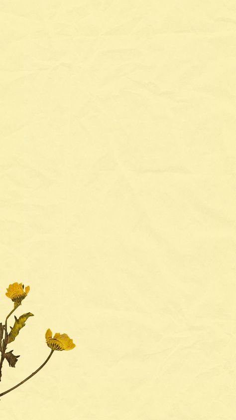 papel de parede amarelo pastel com duas flores no canto esquerdo também amarelo Cheengu Yellow, Pastel Yellow Wallpaper, Studio Background Ideas, Motherhood Illustration, Yellow Aesthetic Pastel, Iphone Wallpaper Stills, Iphone Wallpaper Vintage, Yellow Wallpaper, Studio Background