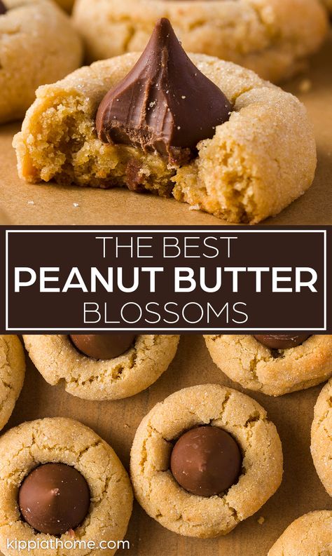 Best Peanut Butter Blossoms, Blossom Cookies Recipe, Kiss Cookie Recipe, Peanut Butter Blossoms Recipe, Chocolate Kiss Cookies, Peanut Butter Blossom, Peanut Butter Kiss, Peanut Butter Kiss Cookies, Butter Blossoms