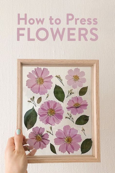 Easy DIY Pressed Flowers Diy Easy Flowers, Diy Pressed Flowers, Pressed Roses, Dried Flowers Crafts, Pressed Flowers Diy, Pressed Flowers Frame, Press Flowers, Photo Frame Shop, Dried Flowers Diy