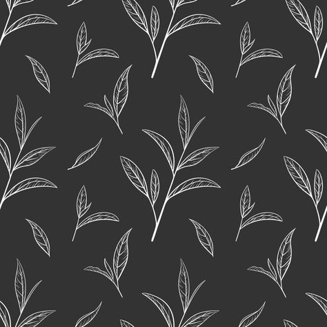 Leaf green tea pattern seamless, vector illustration. Leaves tea tree on black background. Hand drawn sketch in vintage style for print and design. Organic nature herb outline, eco healthy food Tea Tree Illustration, Price List Background Design, Tea Leaf Illustration, Leaf Illustration Pattern, Tea Leaves Illustration, Tea Sketch, Tea Vector, Tea Pattern, Illustration Leaves