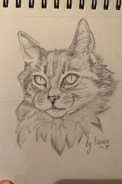 People As Cartoons, Animal Sketches Easy, Animals Sketch, Funniest Pics, Aesthetic Cats, Abstract Pencil Drawings, Armband Tattoos, Cats Art Drawing, Sketches Of People