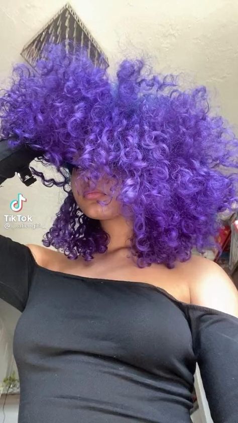 Blue And Purple Curly Hair, Purple Hair Curly Short, Blue Curly Hair Black Women, Dyed Afro, Purple Dyed Hair, Purple Curly Hair, Purple Afro, Blue Curly Hair, Purple Natural Hair