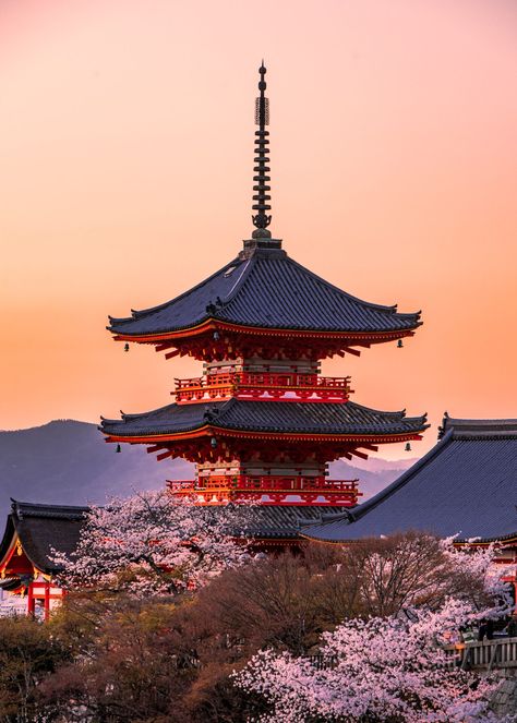 most Instagrammable places in Kyoto Japanese Places To Visit, Japan Beautiful Places, Kyoto Wallpaper, Kyoto Japan Aesthetic, Kyoto Aesthetic, Antique Room Aesthetic, Kyoto Shrine, Japan Collage, Kyoto Japan Photography