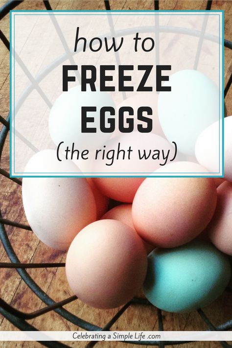 How To Freeze Eggs, Can You Freeze Eggs, Freeze Eggs, Freezing Eggs, Huevos Fritos, Baby Chickens, Freezer Cooking, Ice Cube Trays, Whole Eggs