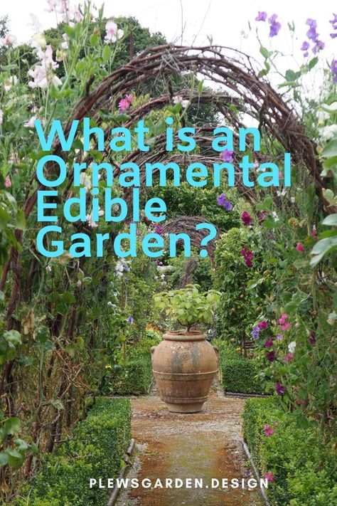 Edible Front Garden, Ornamental Vegetable Garden, Edible Plants Garden, Edible Landscaping Front Yard, Edible Front Yard, Chaos Gardening, Edible Garden Design, Edible Flower Garden, Ornamental Garden