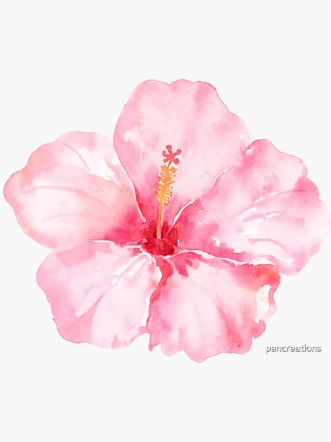 Hibiscus Drawing, Hibiscus Wallpaper, Gcse Sketchbook, Plumeria Tattoo, Hibiscus Flower Tattoos, Wallpaper Animals, Hibiscus Tattoo, Summer Wallpapers, Iphone Theme