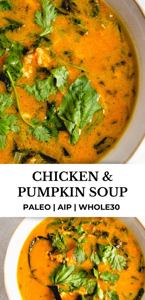 This Slow Cooker Chicken and Pumpkin Soup is a hearty, rich, creamy and delicious dish. Made using fresh pumpkin, ground chicken, fresh basil and cilantro, it's AIP, paleo, flavor packed and sure to please! #healmedelicious #aip #aiprecipes #paleo #paleorecipes #whole30 #whole30recipes #autoimmunedisease #aipdiet #autoimmunepaleo #aipprotocol #fallrecipes #dinnerideas #fallsoups #soup #souprecipes #easydinnerrecipes #chickenrecipes #crockpotrecipes #pumpkinrecipes Paleo Slow Cooker Soup, Aip Cabbage Soup, Aip Pumpkin Soup Recipes, Paleo Pumpkin Soup, Aip Pumpkin Soup, Whole 30 Mushroom Soup, Aip Chicken Soup Recipes, Paleo Crockpot Soup, Whole30 Soups And Stews