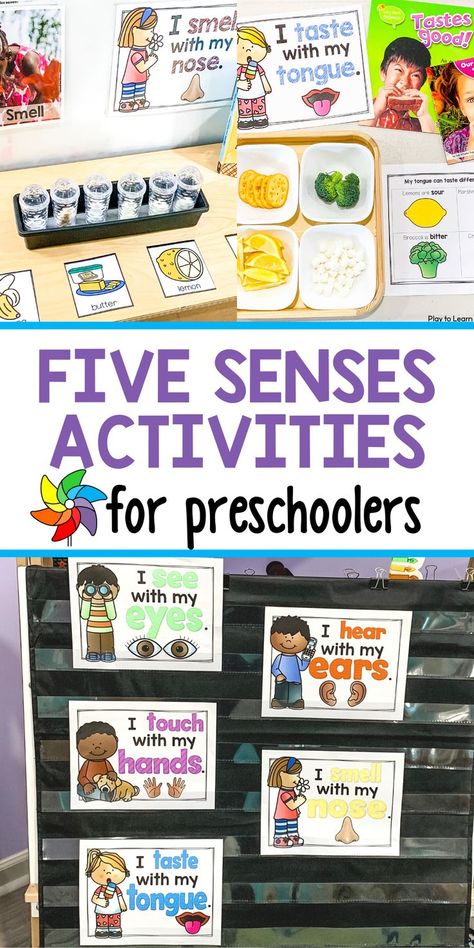 Five Senses Activities For Preschoolers, 5 Senses Activities For Preschoolers, Five Senses Activities, 5 Senses Preschool, Science Center Preschool, Five Senses Preschool, Centers For Preschool, Taste Sense, 5 Senses Activities